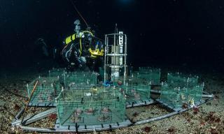 Laboratorio sottomarino nel mar di Ross, progetto Ice ClimaLizers. Credits: PNRA Plotr kuklinski Installazione del laboratorio sottomarino nel mar di Ross in Antartide