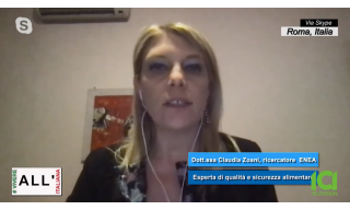 intervista a claudia zoani