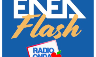 logo enea flash