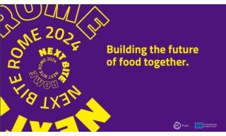Next Bite Rome 2024