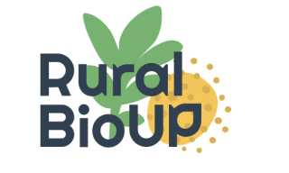 HUB Puglia - RuralBioUp Project Coaching, mentoring and training activities Logo progetto Rural Bioup