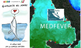 Immagine progetto MedFever e Giornata Nazionale del mare 11 aprile