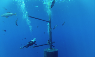 Intervento dei sub per l’installazione della strumentazione sottomarina nell'osservatorio oceanografico di Lampedusa