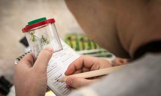 settimana del monitoraggio della biodiversità, 12-18 maggio 2025