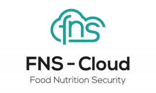 fns-cloud logo