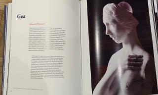 Descrizione dell’opera “Gea”