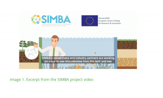 Image 1. Excerpt from the SIMBA project video