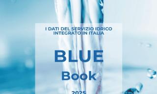 blue_book_2025_copertina