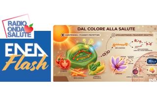 Carotenoidi e Apocarotenoidi, gli "scudi molecolari" della natura 