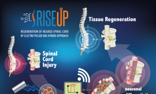 Schema del progetto RISEUP