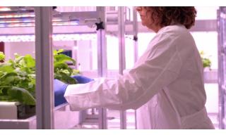 Inaugurato l'impianto PharmaGREEN presso il CR Casaccia