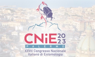 Copertina convegno