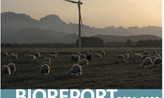 Copertina Bioreport