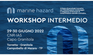 Locandina workshop intermedio del progetto marina hazard Locandina del workshop intermedio del progetto marinew hazard
