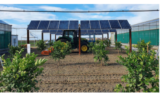 Prototipo agrivoltaico in pieno campo di EF Solare nell'azienda LeGreenhouse a Scalea con coltivazione di agrumi con trattore in movimento sotto i pannelli. Immagini gentilmente concesse da EF Solare Italia - LeGreenhouse Prototipo agrivoltaico in pieno campo di EF Solare nell'azienda LeGreenhouse a Scalea con coltivazione di agrumi con trattore in movimento sotto i pannelli. Immagini gentilmente concesse da EF Solare Italia - LeGreenhouse