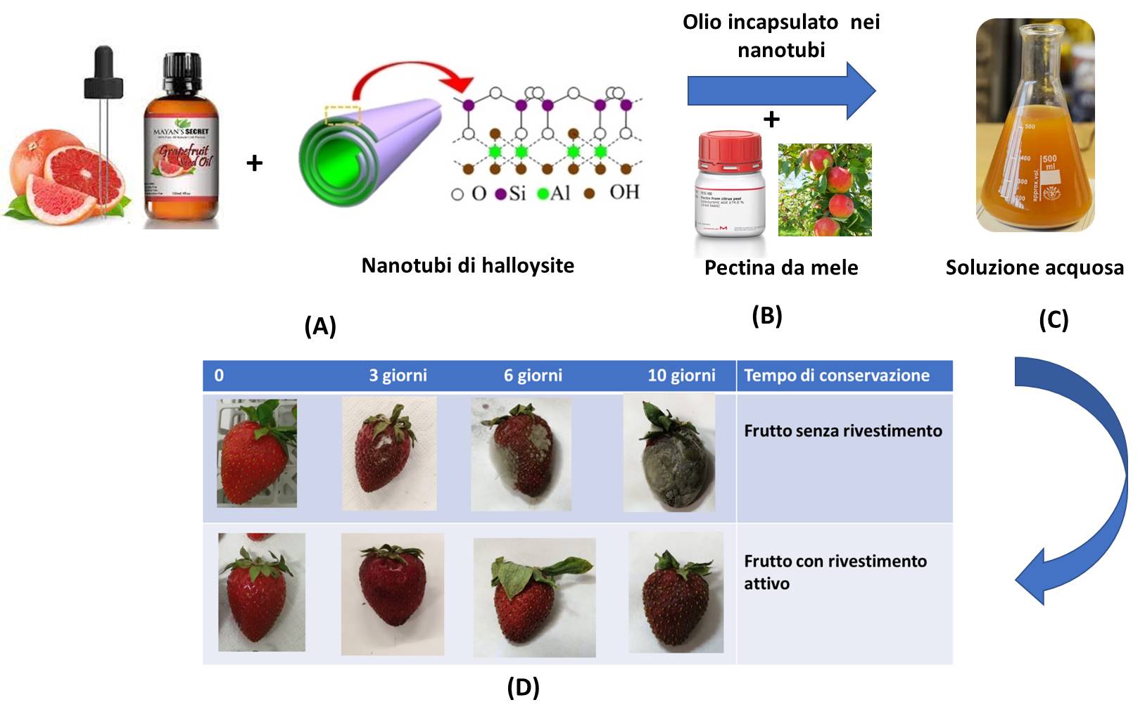 Un nuovo rivestimento bio per mantenere frutta e verdure fresche più a lungo